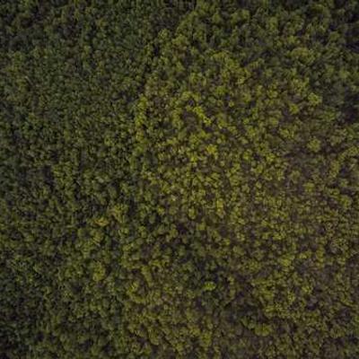 Profil de Poulain et Fils